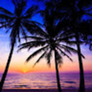 Meet your Posher, Hurley